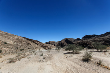 Fototapeta na wymiar Dry River in Sossusvlei, Namibia