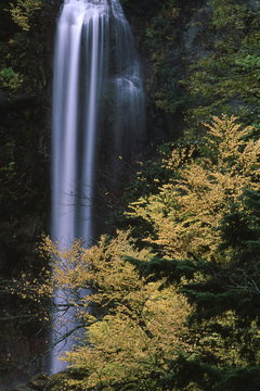 秋の平湯大滝