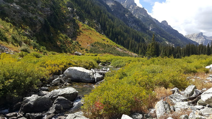 Fototapeta na wymiar Stream runs over rocks through a Tetons Valley 