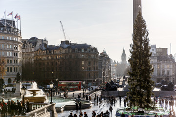 Trafalgar square in the winter morning - obrazy, fototapety, plakaty