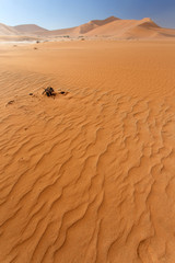 Fototapeta na wymiar Sossusvlei, Namibia