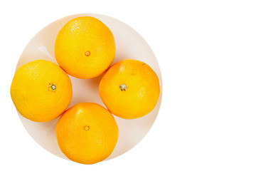  juicy Spanish mandarins on plate on white background