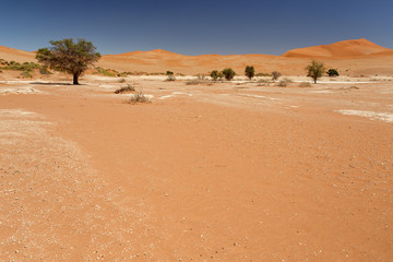 Sossusvlei, Namibia