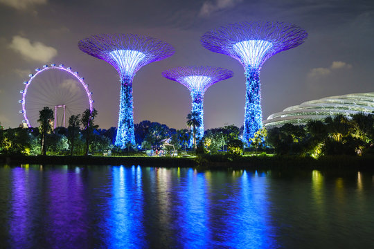 Supertree Grove in the Gardens by the Bay, a futuristic botanical gardens and park, illuminated at night, Marina Bay, Singapore