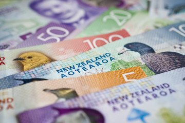 New Zealand money - 130460243