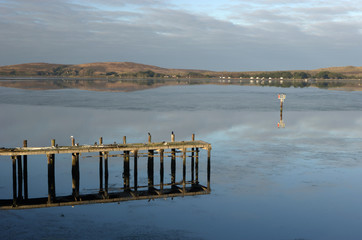 Bodega Bay