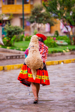 Woman carrying her sheep, Ollantaytambo, Peru