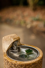 Drinking fountain in a park