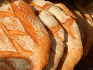Big polish traditional bread