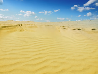 sand desert