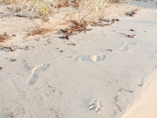 steps in the sand