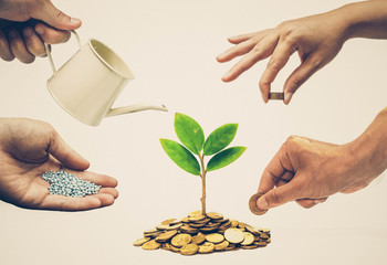 Cooperation - Hands helping planting trees growing on coins together with green background -...