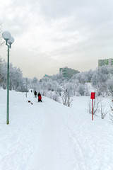 A woman with a stroller walking on snow-covered Park