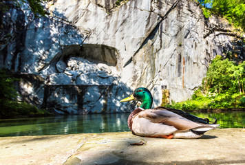 Dying lion monument in Lucerne