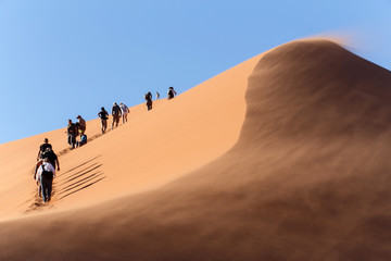 Fototapeta na wymiar Sand Dune No. 45 at Sossusvlei, Namibia
