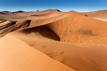 Plakat Sand Dunes at Sossusvlei, Namibia