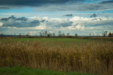 Camargue en Novembre