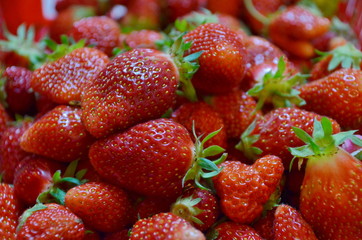 A multitude of fresh ripe strawberries