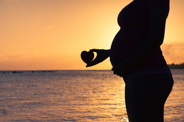 Fototapeta premium Pregnant woman holding a heart. Child birth and pregnancy concept. 