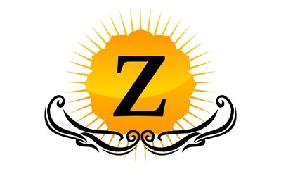 Modern Logo Solution Letter Z