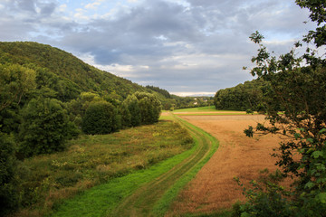 Fototapeta na wymiar Landscape with farm lane