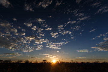 Etosha Safari Park in Namibia