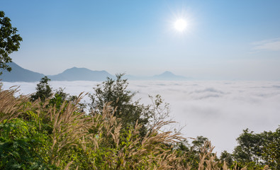 Fototapeta na wymiar sea of fog over Phu Thok Mountain