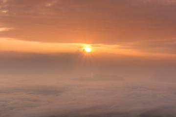Silhouette view of bush with beautiful landscape.