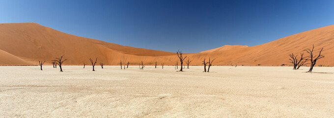 Dead Vlei - Sossusvlei, Namibia