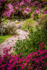 Stony pathway in a park in spring