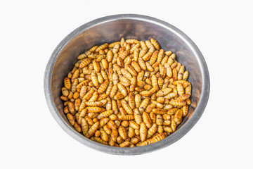 Edible roasted and spiced meal worms, Bugs fried on street food