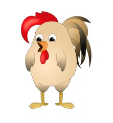 Cute rooster. Cock Chinese symbol of New 2017 year. Cartoon style rooster isolated on white