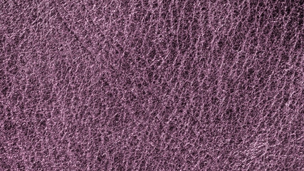 Purple leather texture, leather background for design with copy space for text or image. Pattern of leather that occurs natural.
