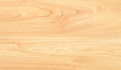 Fototapeta premium wood