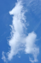 Fototapeta na wymiar Blue sky with white cloud, imagination animal shape giraffe hors