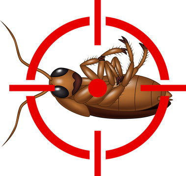 Cockroach on Target Icon