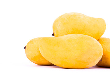 Naklejka na ściany i meble yellow ripe mangos have the sweet taste on white background healthy fruit food isolated 