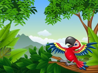 Cartoon macaw in the jungle