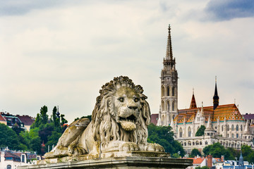 Chain Bridge Lion Matthias Church Budapest Hungary