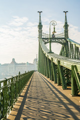 majestic liberty bridge at budapest, hungary © jon_chica
