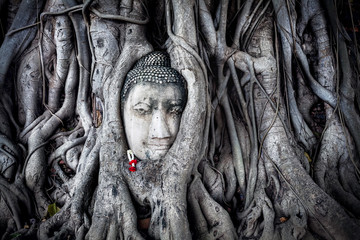 Head of Sandstone Buddha in Thailand