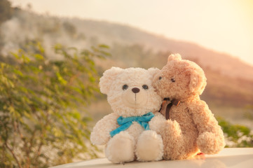 Two teddy bears with natural background, Love and relationship concept