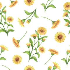 Watercolor vector seamless pattern with calendula, marigold flowers and branches. - obrazy, fototapety, plakaty