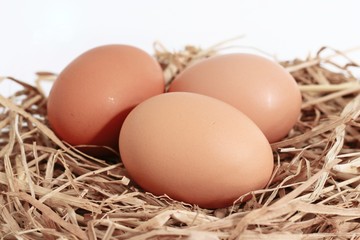 brown eggs