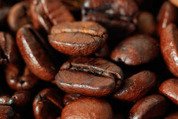 Roasted coffee beans