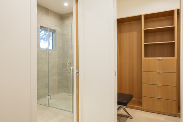 Glass Shower and wooden walk in closet.