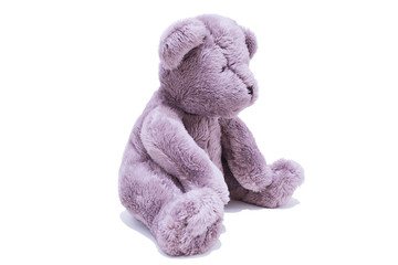 Teddy bear on a white background