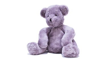 Teddy bear on a white background
