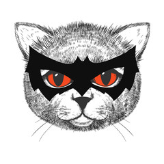 Cute cat illustration