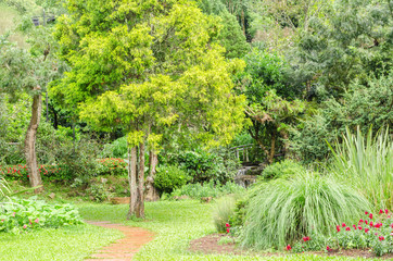 The flower garden designs at Ang Khang Royal Agricultural Station, Chiang Mai Thailand